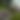 Pfingsten Frühtanz 2025 - Fotos 3